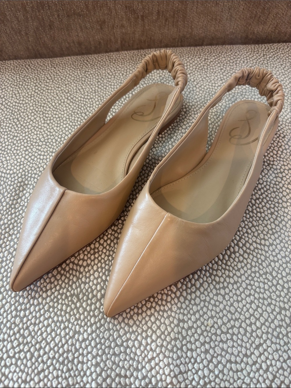 Sam Edelman Pointed Toe Slingback Flats in Light Tan